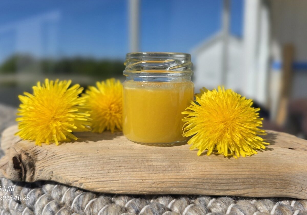 Bi-Smak Glass med gyllen honning fra Bi-Smak, omgitt av løvetannblomster