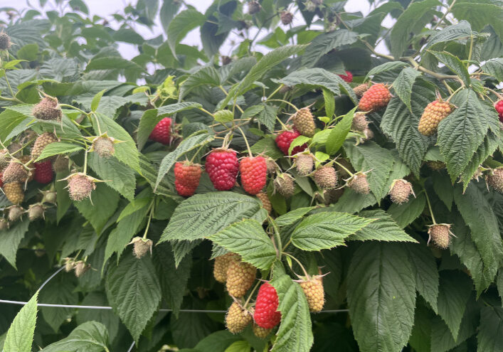 Foto: Siri Kvam-Andersen