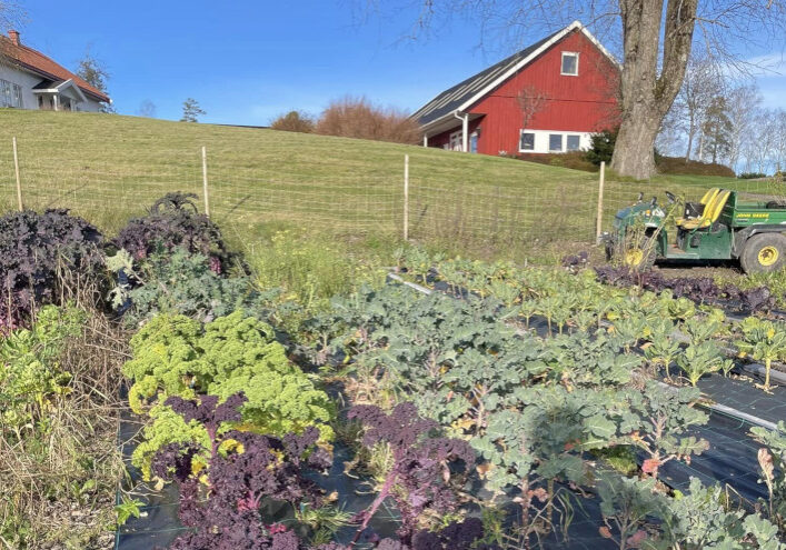 Himberg_markedshage_710x495
