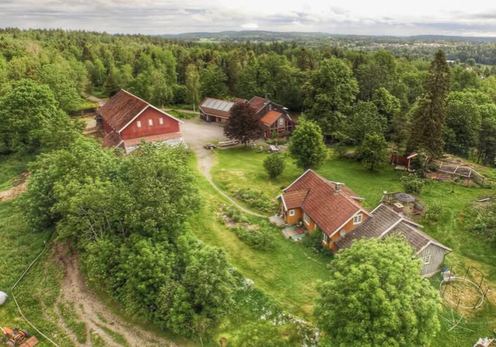 Holtgaard