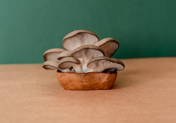 Foto: Rød Gård Fungi

