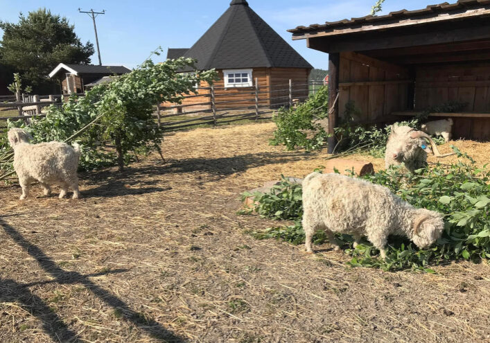 Ramnes_sondre_gard_719x495 Ramnes_sondre_gard_719x495