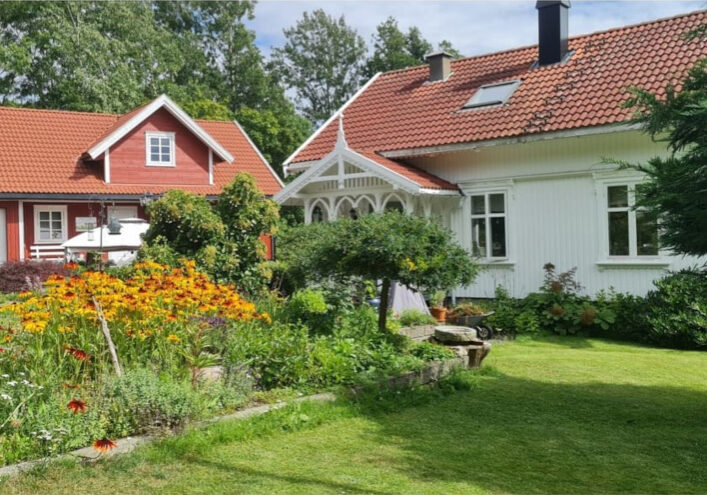 Smabrukets-gode-liv Smabrukets-gode-liv