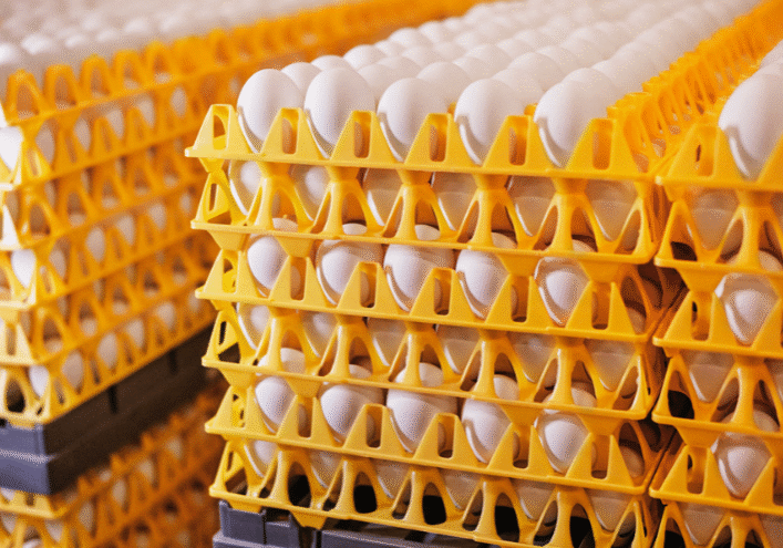 Uten navn (719 x 495 px) (4)