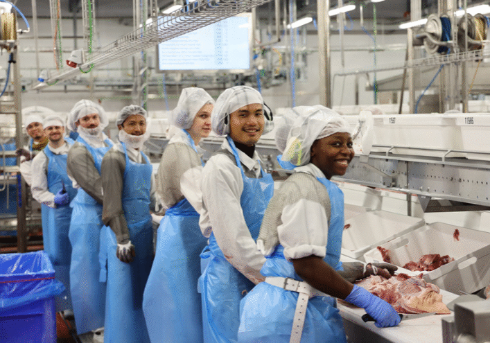 Uten navn (719 x 495 px)