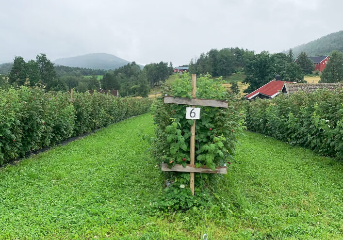 bertur_719x495 bertur_719x495